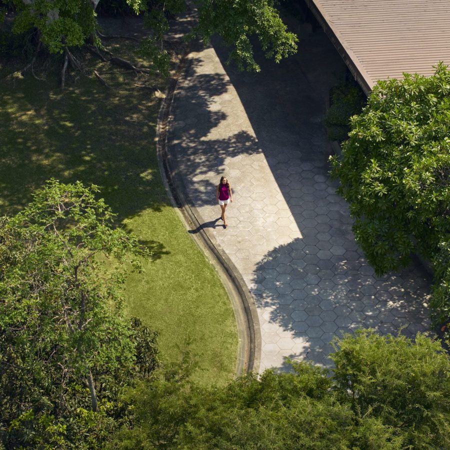DJI 20250212140151 0461 D 001
