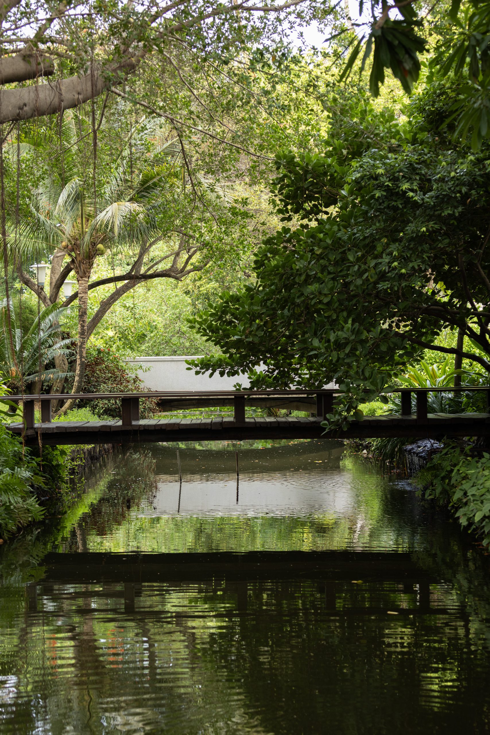 Scenic view of RXV Wellness Village Sampran featured in Beautilist — a tranquil bridge surrounded by lush greenery and water reflection