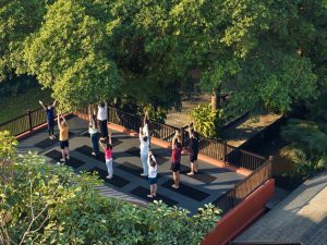Group rooftop yoga session under the morning sun at RXV Wellness Village Sampran surrounded by lush greenery.