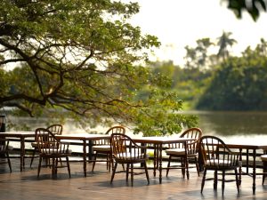 Wooden riverside terrace with chairs and tables under a large tree at RXV Wellness Village Sampran.