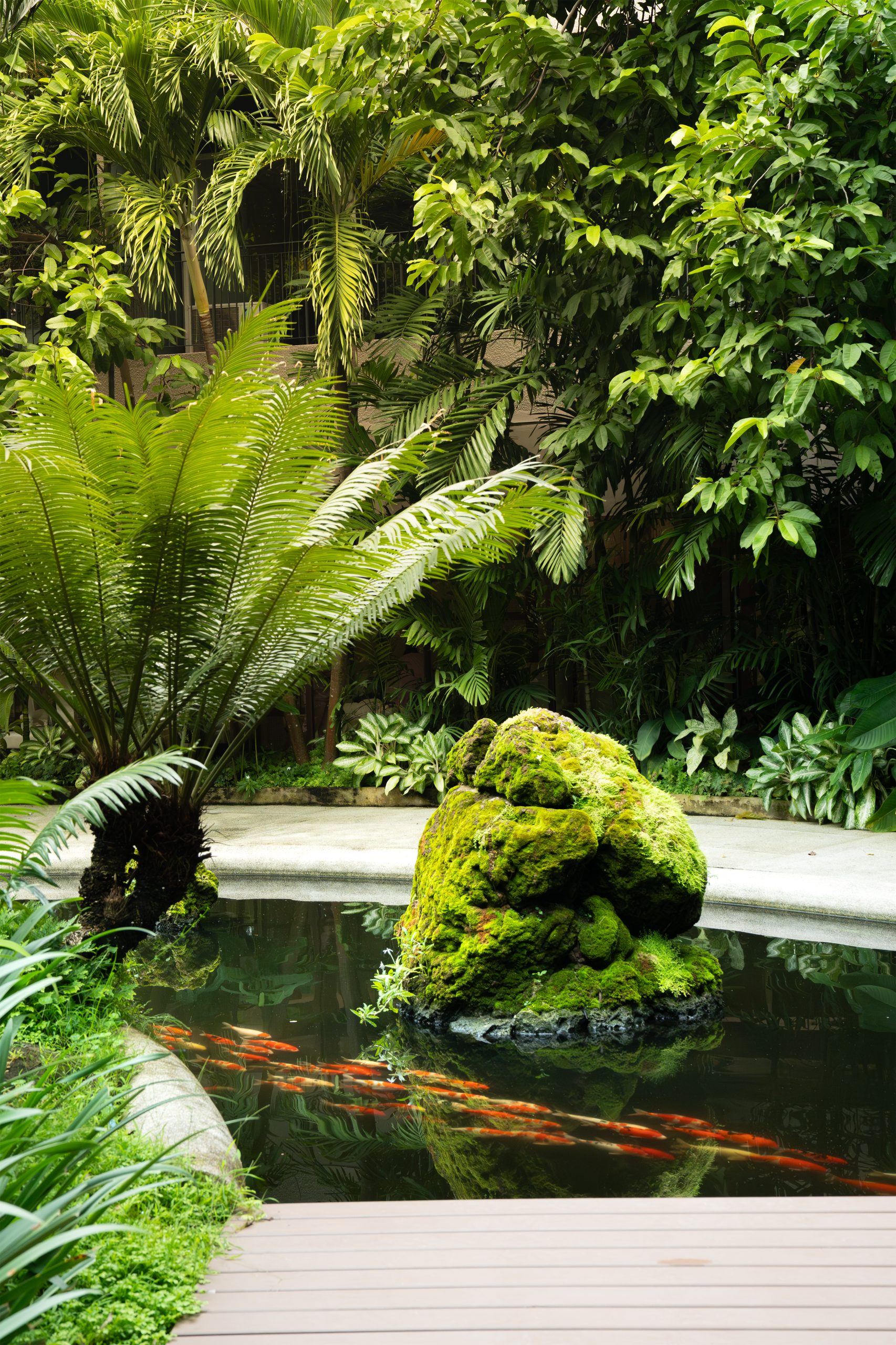 Tranquil koi pond surrounded by lush tropical greenery and moss-covered stones at RXV Wellness Village Sampran.